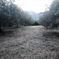 Land plot in Greece, Ionian Islands