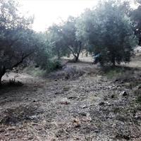 Land plot in Greece, Ionian Islands