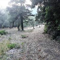 Land plot in Greece, Ionian Islands