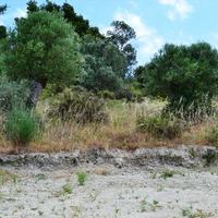 Land plot in Greece, Central Macedonia, Center, 4240 sq.m.