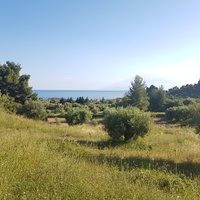 Land plot in Greece, Central Macedonia, Center