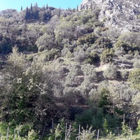 Land plot in Greece, Crete, Irakleion