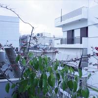 Flat in Greece, Crete, Chania, 91 sq.m.