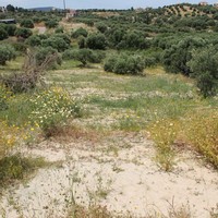 Земельный участок в Греции, Крит, Ираклион