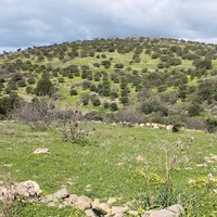 Земельный участок в Греции, Крит