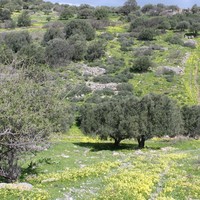 Земельный участок в Греции, Крит