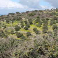 Земельный участок в Греции, Крит