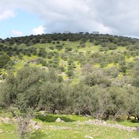 Земельный участок в Греции, Крит