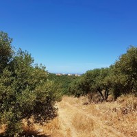 Земельный участок в Греции, Крит