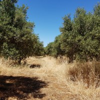 Земельный участок в Греции, Крит