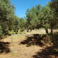 Земельный участок в Греции, Крит