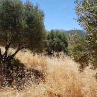 Земельный участок в Греции, Крит