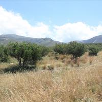 Земельный участок в Греции, Крит, Ханья