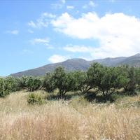 Земельный участок в Греции, Крит, Ханья