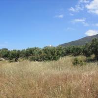 Земельный участок в Греции, Крит, Ханья