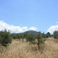 Земельный участок в Греции, Крит, Ханья