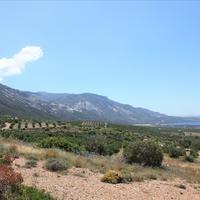 Земельный участок в Греции, Крит, Ханья