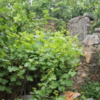 Другое в Греции, Крит, 90 кв.м.