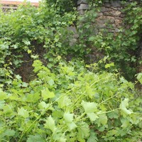 Другое в Греции, Крит, 90 кв.м.