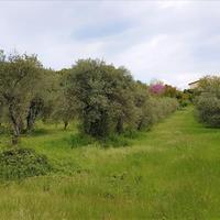 Land plot in Greece, Central Macedonia, Center