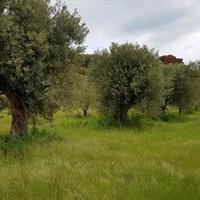 Land plot in Greece, Central Macedonia, Center