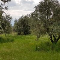 Land plot in Greece, Central Macedonia, Center