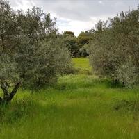 Land plot in Greece, Central Macedonia, Center