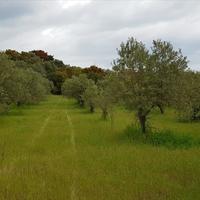 Land plot in Greece, Central Macedonia, Center