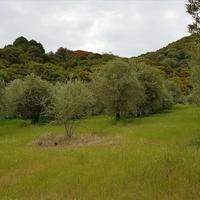 Land plot in Greece, Central Macedonia, Center