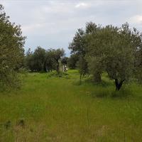 Land plot in Greece, Central Macedonia, Center