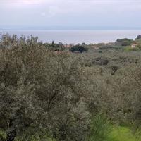Land plot in Greece, Central Macedonia, Center