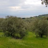 Land plot in Greece, Central Macedonia, Center