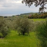 Land plot in Greece, Central Macedonia, Center