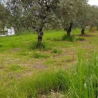 Land plot in Greece, Central Macedonia, Center