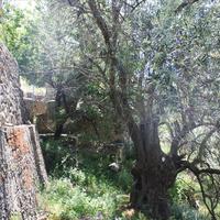 Другое в Греции, Крит, Ханья, 90 кв.м.