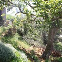 Другое в Греции, Крит, Ханья, 90 кв.м.