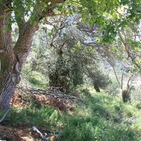 Другое в Греции, Крит, Ханья, 90 кв.м.