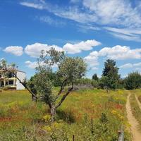 Land plot in Greece, Central Macedonia, Center