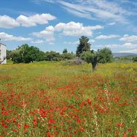 Land plot in Greece, Central Macedonia, Center