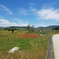 Land plot in Greece, Central Macedonia, Center