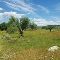 Земельный участок в Греции, Центральная Македония, Центр