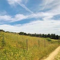 Land plot in Greece, Central Macedonia, Center, 7000 sq.m.