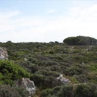 Land plot in Greece, Crete, Chania