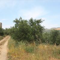 Land plot in Greece, Crete, Chania