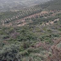 Land plot in Greece, Crete, Irakleion