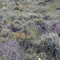 Land plot in Greece, Crete, Irakleion