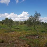 Земельный участок в Греции, Центральная Македония, Центр