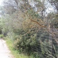 Земельный участок в Греции, Крит, Ханья