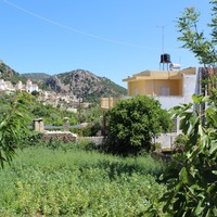Land plot in Greece, Crete
