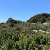 Land plot in Greece, Crete, Chania, 7600 sq.m.